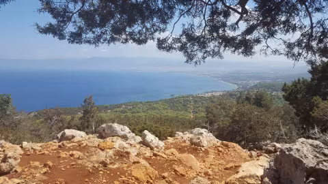 Akamas